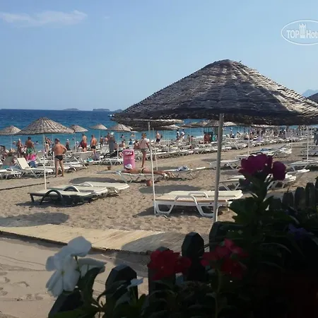 Club Festival Τεκίροβα