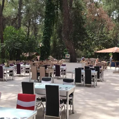 Club Festival Τεκίροβα
