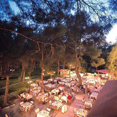 Hotel Club Festival 4*
