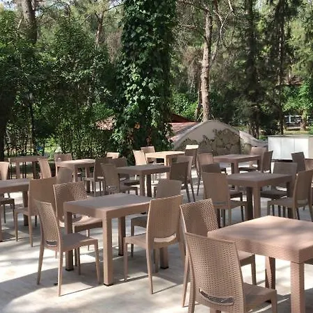 Club Festival Hotel