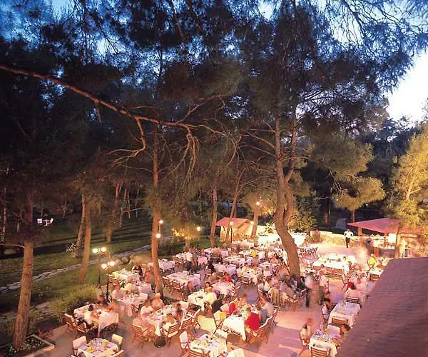 Hotel Club Festival 4*